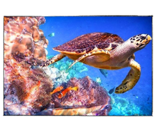 Load image into Gallery viewer, Coral Reefs Turtle - DIY Paint by Numbers
