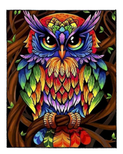 Load image into Gallery viewer, Colorful Owl - DIY Paint by Numbers
