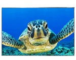Load image into Gallery viewer, Blue Sea Turtle - DIY Paint by Numbers
