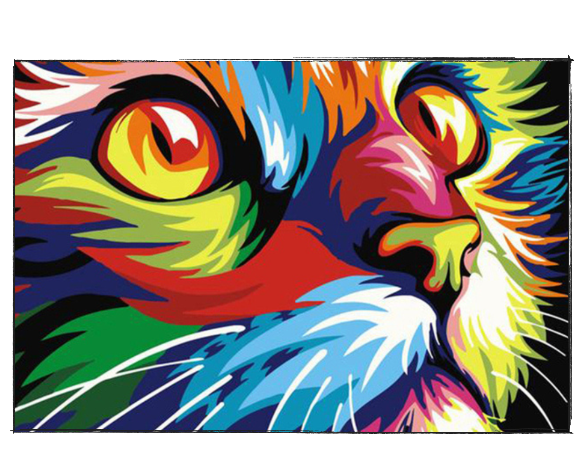 Colorful Cat - DIY Paint by Numbers