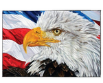 Load image into Gallery viewer, American Eagle - DIY Paint by Numbers
