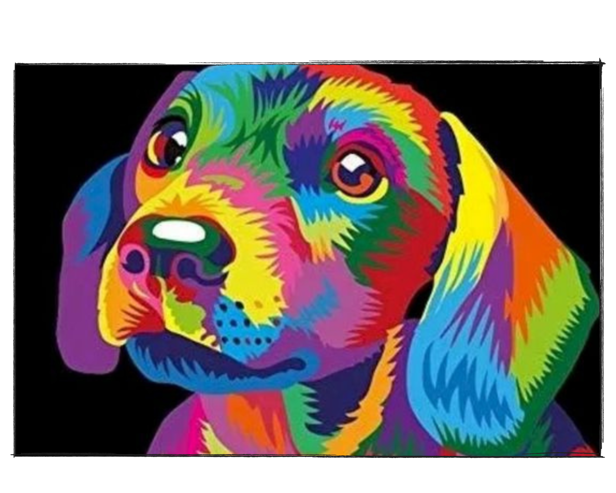 Colorful Puppy - DIY Paint by Numbers