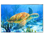 Load image into Gallery viewer, Ancient Mariner Turtle - DIY Paint by Numbers

