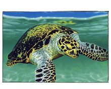 Load image into Gallery viewer, Grandpa Jay The Turtle - DIY Paint by Numbers
