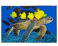 Load image into Gallery viewer, Aquarium - DIY Paint by Numbers
