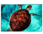 Load image into Gallery viewer, Swimming Sea Turtle  - DIY Paint by Numbers
