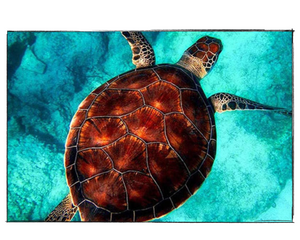 Swimming Sea Turtle  - DIY Paint by Numbers