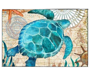 Tropical Sea Turtle - DIY Paint by Numbers