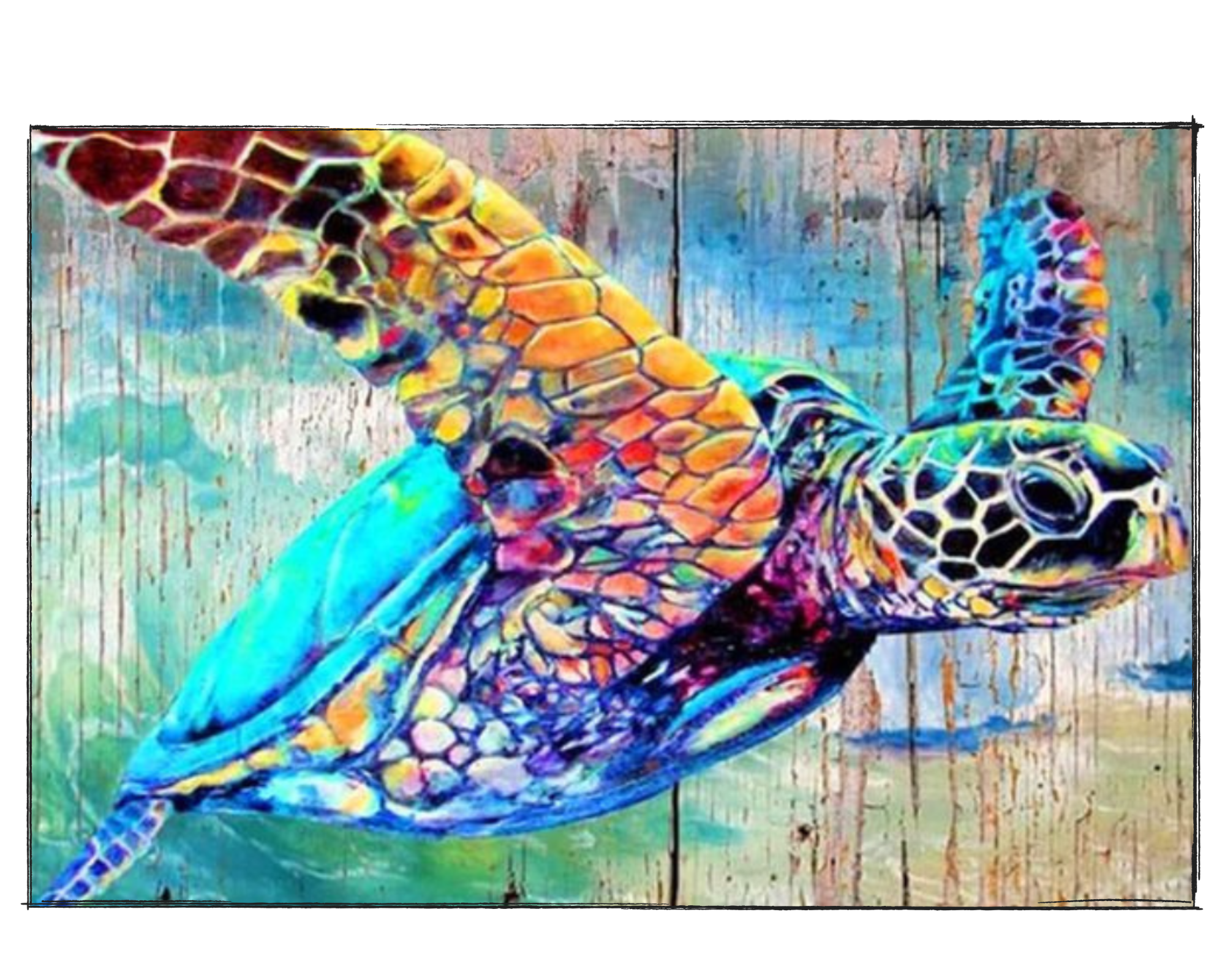 Turtle Art - DIY Paint by Numbers