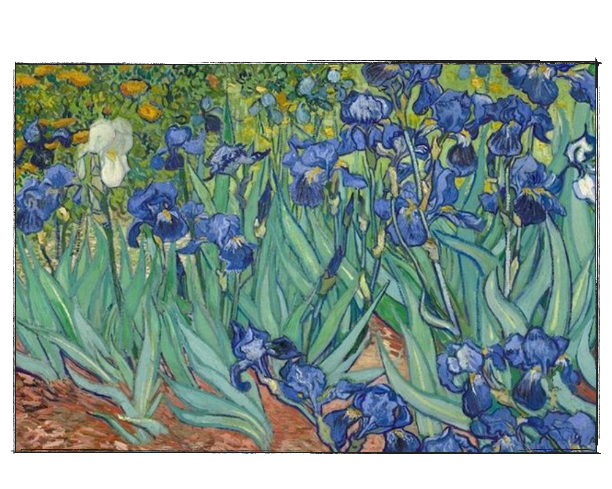 Van Gogh Irises - DIY Paint by Numbers