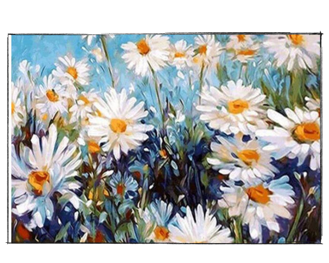 White Daisies  - DIY Paint by Numbers