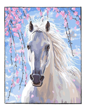 Load image into Gallery viewer, White Horse - DIY Paint by Numbers
