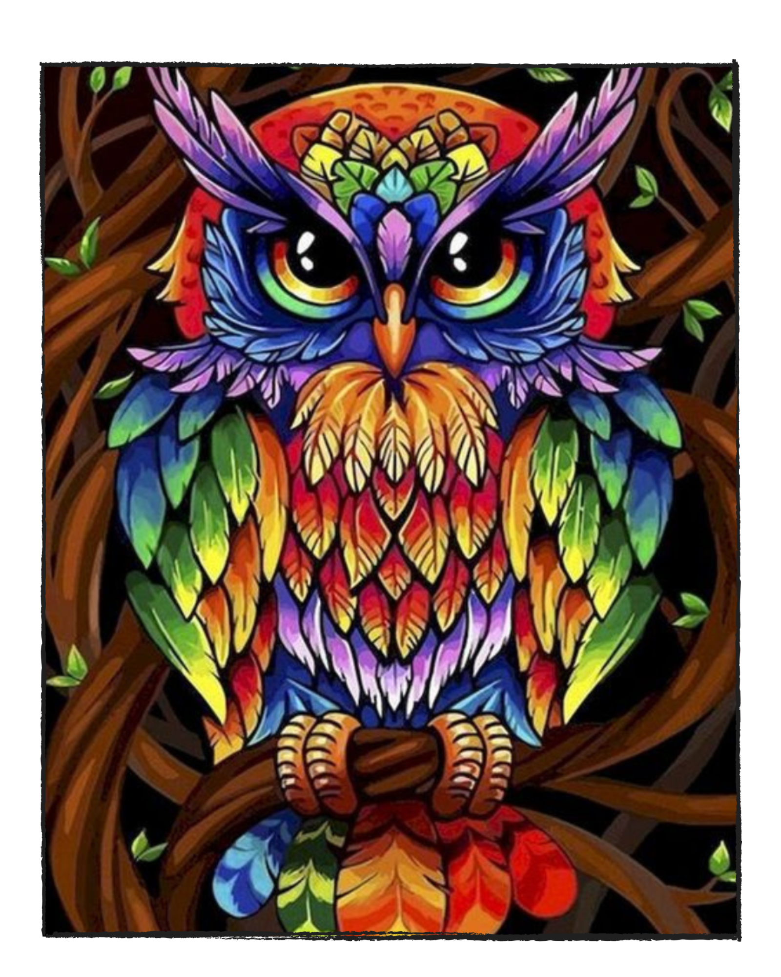 Colorful Owl - DIY Paint by Numbers