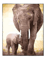 Load image into Gallery viewer, An Elephant Mother&#39;s Love - DIY Paint by Numbers
