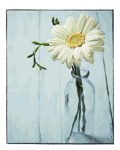 Solitary Flower  - DIY Paint by Numbers