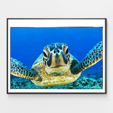 Load image into Gallery viewer, Blue Sea Turtle - DIY Paint by Numbers
