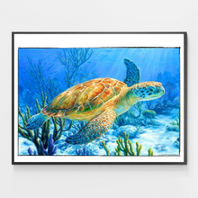 Load image into Gallery viewer, Ancient Mariner Turtle - DIY Paint by Numbers
