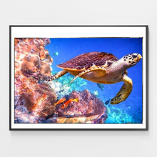 Load image into Gallery viewer, Coral Reefs Turtle - DIY Paint by Numbers
