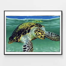 Load image into Gallery viewer, Grandpa Jay The Turtle - DIY Paint by Numbers
