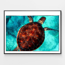 Load image into Gallery viewer, Swimming Sea Turtle  - DIY Paint by Numbers
