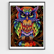 Load image into Gallery viewer, Colorful Owl - DIY Paint by Numbers
